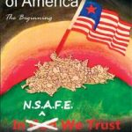 The State Of America